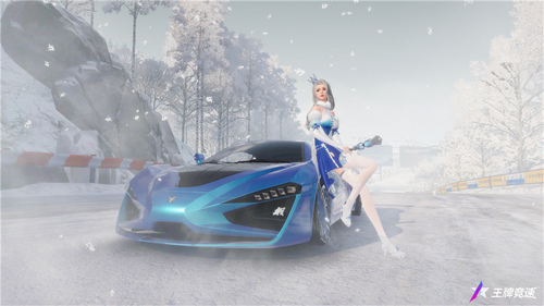 圖七：雪魄瓊花，浪漫非常.jpg