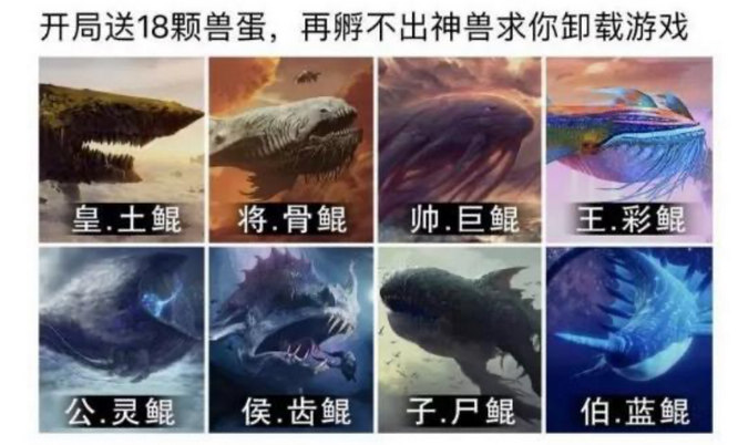 圖片1.jpg
