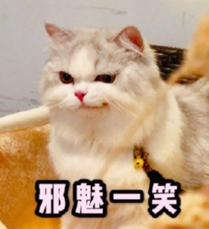 圖13.jpg